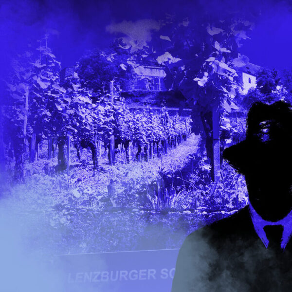 Dies ist das Titelbild des Find-the-Code Lenzburg Standard Spiel - Fluoreszierende Heuschrecken. Dieses Bild zeigt den verrückten Kriminellen von Find-the-Code, dem Outdoor Escape Game, als Schatten vor den Weinreben der Burghalde in Lenzburg. Im Hintergrund ist der Schlossberg mit dem Schloss zu sehen.