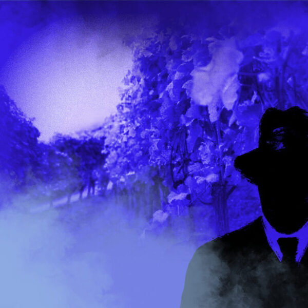 Dies ist das Titelbild des Find-the-Code Twann-Ligerz Standard Spiel - Tödlicher Weinjahrgang. Dieses Bild zeigt den verrückten Kriminellen von Find-the-Code, dem Outdoor Escape Game, als Schatten vor den Weinreben in Twann-Ligerz.