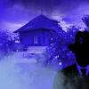 Dies ist das Titelbild des Find-the-Code Winterthur Standard Spiel - Feuerbälle in der Gartenstadt. Dieses Bild zeigt den verrückten Kriminellen von Find-the-Code, dem Outdoor Escape Game, als Schatten vor dem Rosengarten in Winterthur. Im Hintergrund ist ein Häuschen, eine Sitzbank und Rosenbüsche zu sehen.
