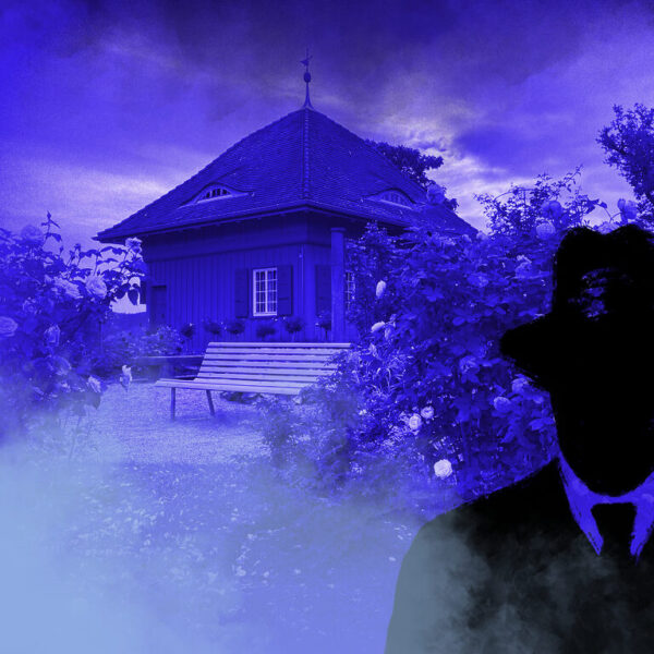 Dies ist das Titelbild des Find-the-Code Winterthur Standard Spiel - Feuerbälle in der Gartenstadt. Dieses Bild zeigt den verrückten Kriminellen von Find-the-Code, dem Outdoor Escape Game, als Schatten vor dem Rosengarten in Winterthur. Im Hintergrund ist ein Häuschen, eine Sitzbank und Rosenbüsche zu sehen.